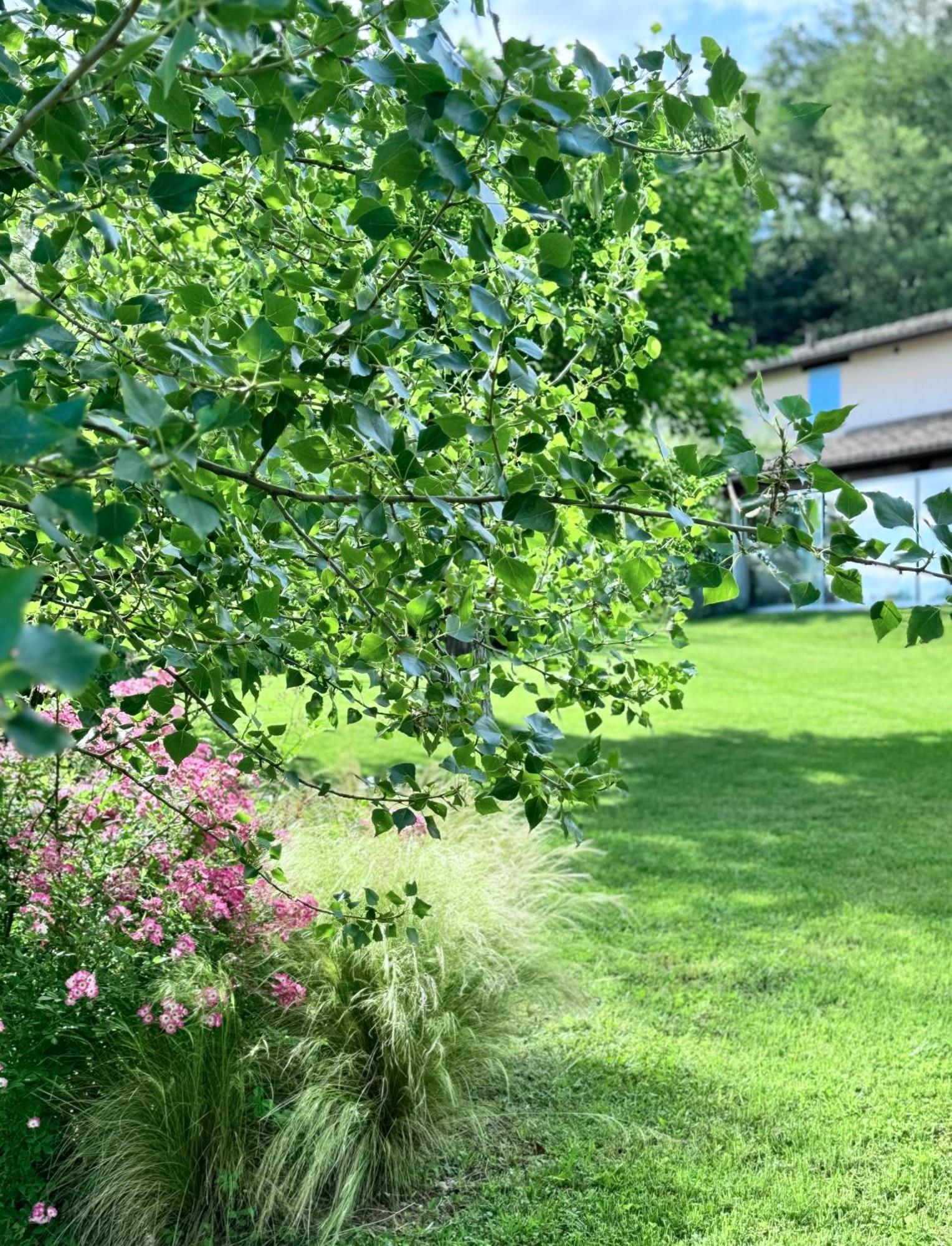 Villa Agriturismo "Le Cannelle" Spa & Day Wellness Fossombrone Exterior foto